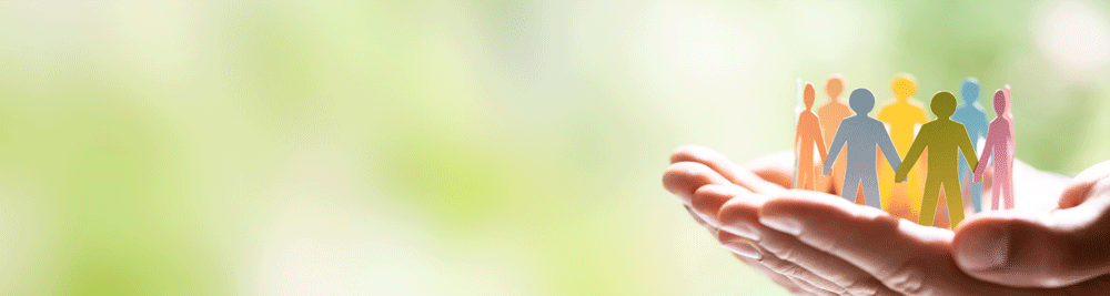 Nurse Practitioner CPD